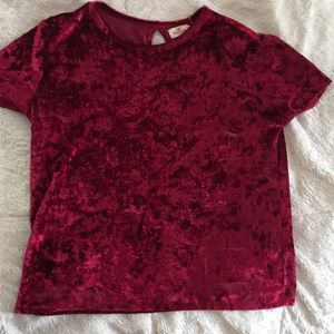 Red velvet crop top